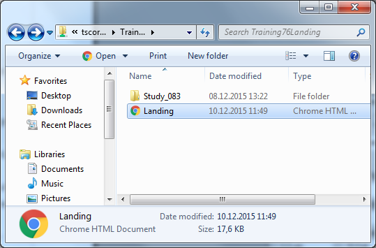 Fig. 8 Location of the landing page on the server